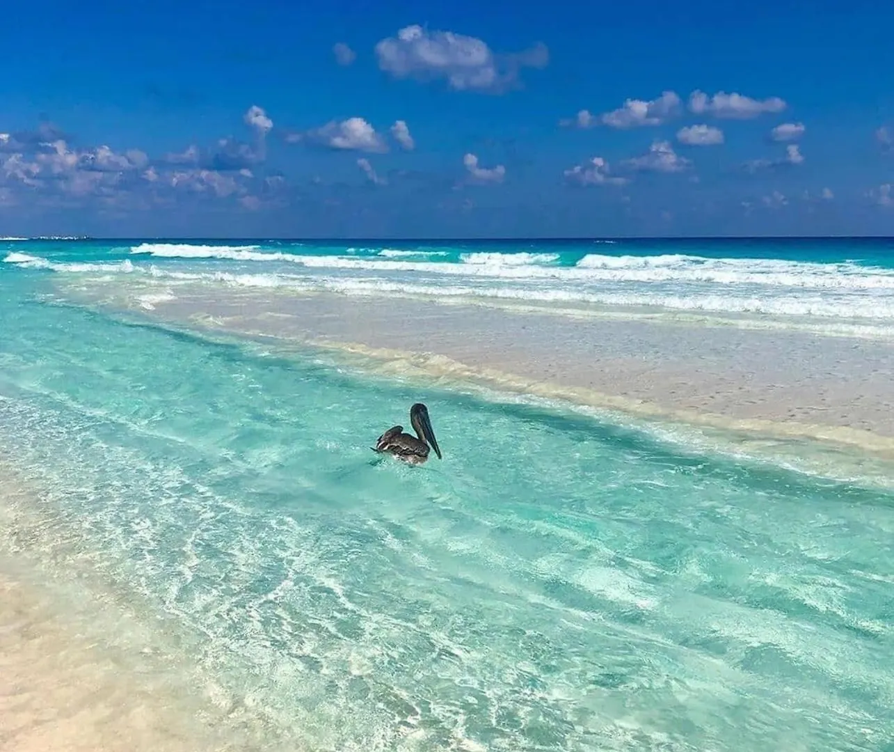 Workation Paradise Gated, Wifi 500Mb, Gym, Pool Playa del Carmen 0*,  Mexico
